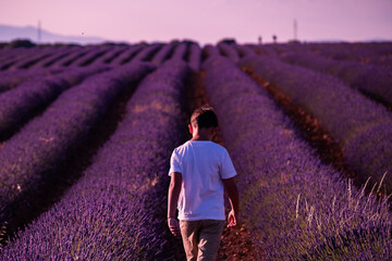 Un niño pasea entre los campos de lavanda al atardecer en Brihuega, España donde este cultivo tiñe de morado el paisaje en verano