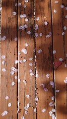 ベンチの上の桜の花びら