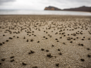 Los Frailes Beach