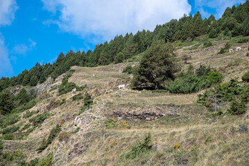 Maravillas Naturales de Andorra: Retratos Esc&eacute;nicos de un Para&iacute;so Monta&ntilde;oso