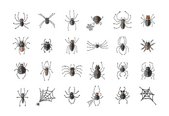 Fototapeta premium Collection of different spiders. Icons set. Hand drawn style.