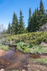 Obraz premium Spring view of Konyarnika area at Vitosha Mountain, Bulgaria