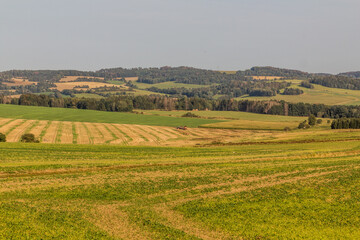 Fototapeta na wymiar Landscape near Tabor, Czech Republic