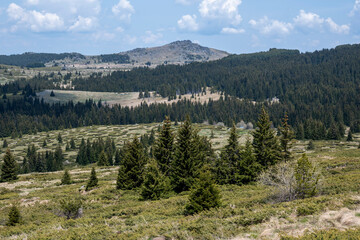 Spring view of Konyarnika area at Vitosha Mountain, Bulgaria