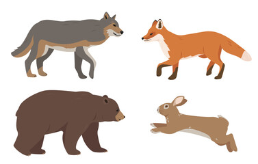Set of wild animals. Wolf, Fox, Bear and Hare or Rabbit in different poses. Animal icons isolated on white background. Nature Vector illustration.