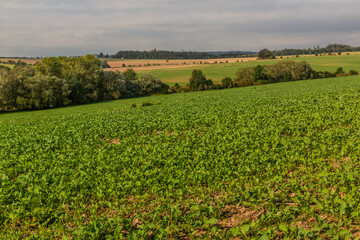 Landscape of the Czech Republic