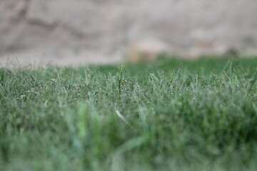 Awesome view in spring