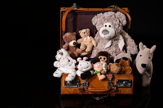Ositos de peluche y otros animales en maleta sobre fondo negro.
