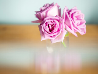 Pink rose bouquet with light distorting object, light blue background, selective focus. Decoration in a house concept. Light and airy look.