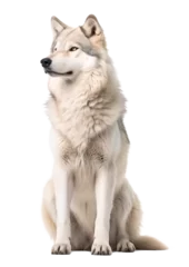 Deurstickers beautiful white female wolf portrait on isolated background © FP Creative Stock