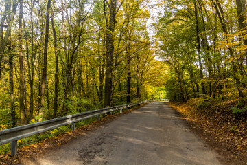 Road in Cesky kras nature protected area, Czech Republic