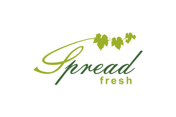 Natural Vine typography with Ivy leaf logo design