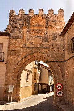 Paisaje de Berlanga de Duero con la puerta Aguilera, Soria.