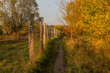 Fototapeta premium Fence around Milovice Nature Reserve hosting wild horse and aurochs, Czech Republic