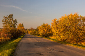 Obraz premium Autumn view of a road near Milovice, Czech Republic