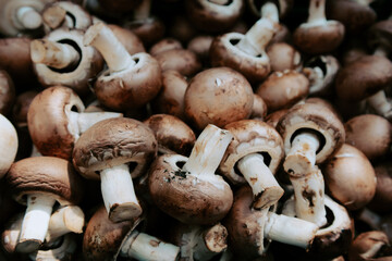 Mushrooms sold at open market