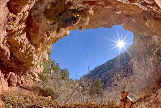 The oasis of Dripping Springs at the west end of Hermit Canyon in Grand Canyon Arizona.