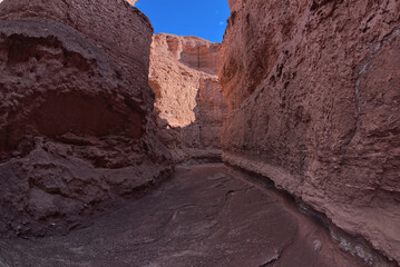 A narrow slot canyon branching off of Paria Canyon at Glen Canyon Recreation Area Arizona.