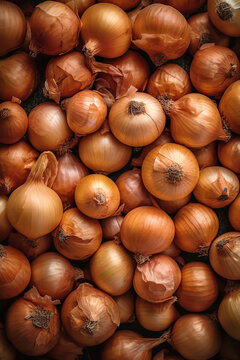 Brown Onion Harvest, Top-View Close-Up Background