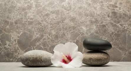 Fototapeta na wymiar stones and plants for product presentation.white burgundy hibiscus flower and gray zen stones on gray background for product presentation background podium