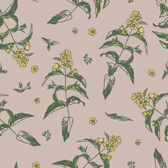 Yellow garden loosestrife with flowers and grass leaves. Blossom wildflowers for wallpaper, textile, wrapping paper. Sketch style. Hand drawn vector seamless pattern - 628307193
