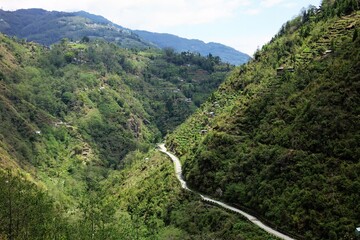Serene mountain road bisects Singalila National Park: one side illuminated by sun-drenched forests,...