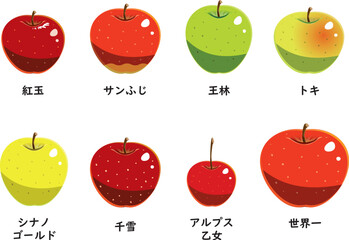 りんご品種　セット　シンプル - obrazy, fototapety, plakaty