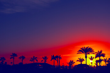 Sunset over the beach with palm trees silhouetted against purple sky