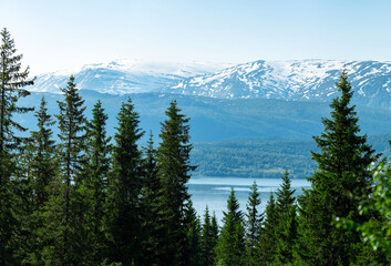 View over nordic mountain peaks in Norway from a hike up Hauknestinden, Hauknes, Mo i Rana, Helgeland, Norway. High peaks in a fjord landscape, snow covered. Clear Norwegian summer skies. Wild Norway	