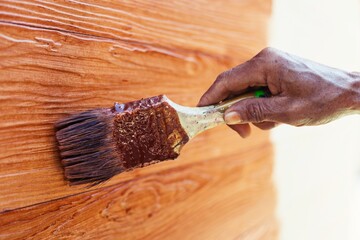 Closeup hand holding brush painting brown color on wooden white wall