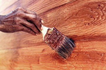 Closeup hand holding brush painting brown color on wooden white wall