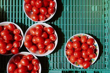 Plum tomatoes sold at green market