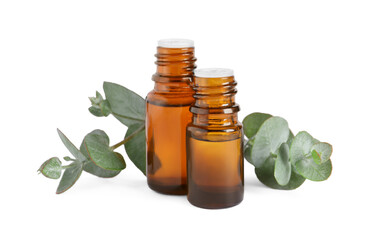 Bottles of eucalyptus essential oil and plant branches on white background
