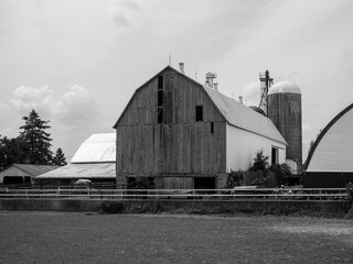 Fototapeta premium old barn and silo