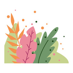 Aesthetic Plant Corner