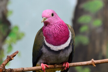 Hey, What you Thinking?