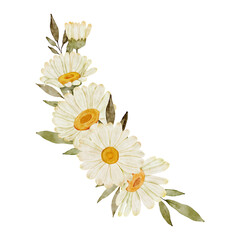 Watercolor Daisy Flower Arrangement
