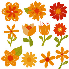 set of spring flowers vector