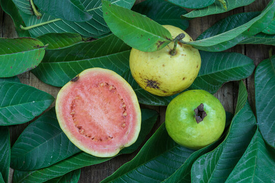 Fresh red guava with green leaves on wooden background. Texture of wood and guava leaves.