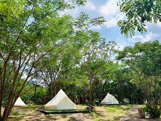 holiday with tent in forest