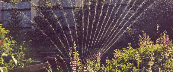 Banner. A system for watering plants.Fan irrigation system with a sprayer in the garden on a sunny summer day. The concept of gardening, growing and caring for plants. High quality photo