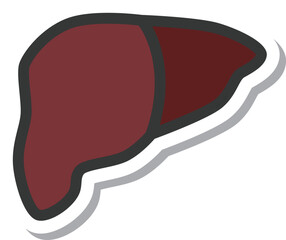 ステッカー風医療関連の単品アイコン　肝臓