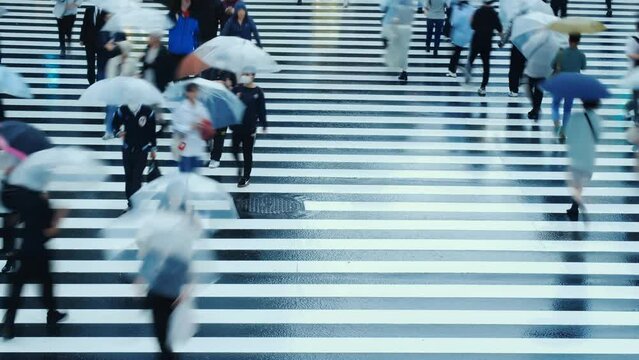 Time lapse of the pedestrian crossing during a rainy day in Tokyo Japan.