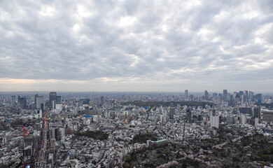 Obraz premium 東京新宿方面のビル群