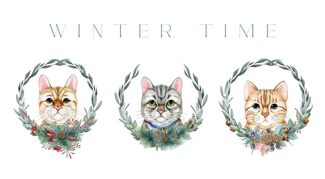 Cute funny cats with winter time decor set. Watercolor illustration. Painted funny kittens with winter floral decoration collection. Cute cat portrait with seasonal wreath decor. White background