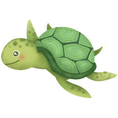 turtle