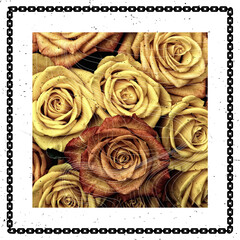 T-shirt print with dried yellow roses inside a chain frame.