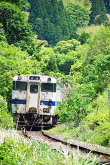 Fototapeta premium train in the mountains