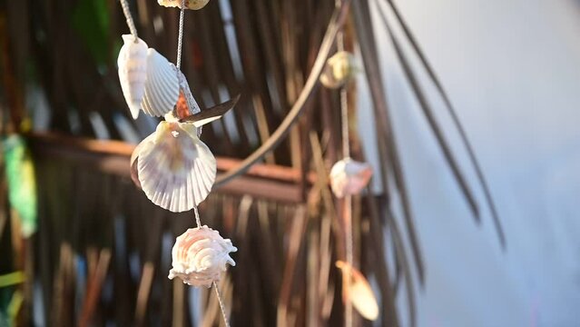 beautiful seashells mobile decoration hanging with wind blowing, slowmotion natural scene background