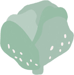 Hand drawn Vegetable Illustration